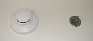 Smoke Alarm and Sprinkler